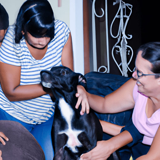 Família acolhendo um novo cão adulto em casa