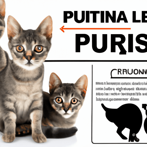Prevenção de infecções urinárias em felinos
