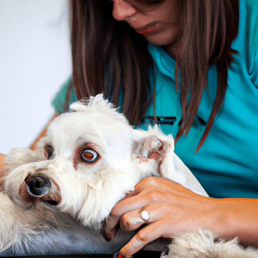 Monitorando a saúde canina
