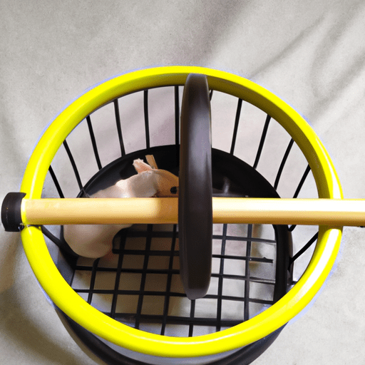 Rodinha de exercício para hamster